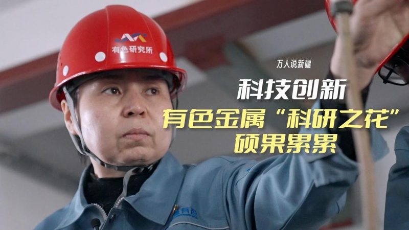 数据安全风险评估：定制开发的关键与挑战